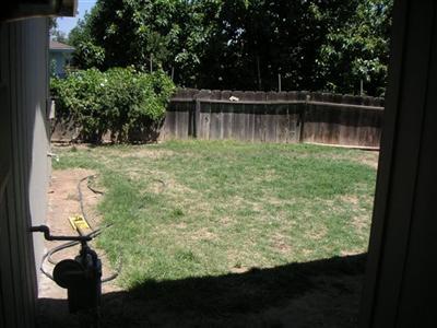 994 North Haney Avenue Reedley, CA 93654 - Photo 18 of 19 Gallery Image 18