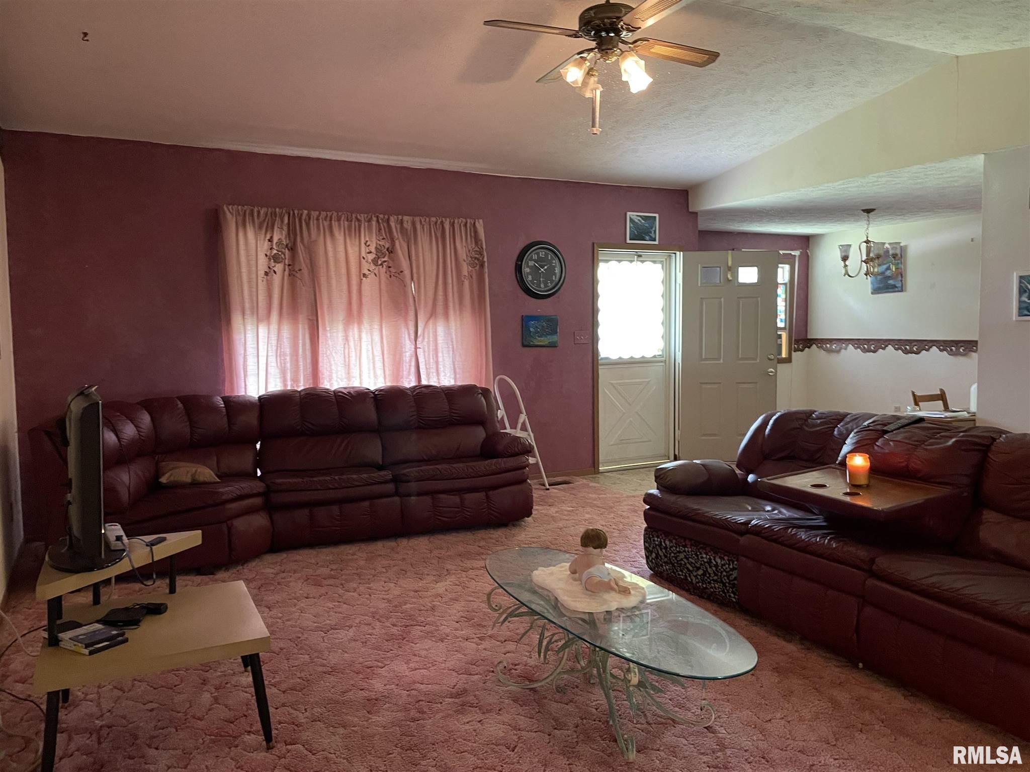 401 North 8th Street Elkville, IL 62932 - Photo 10 of 16