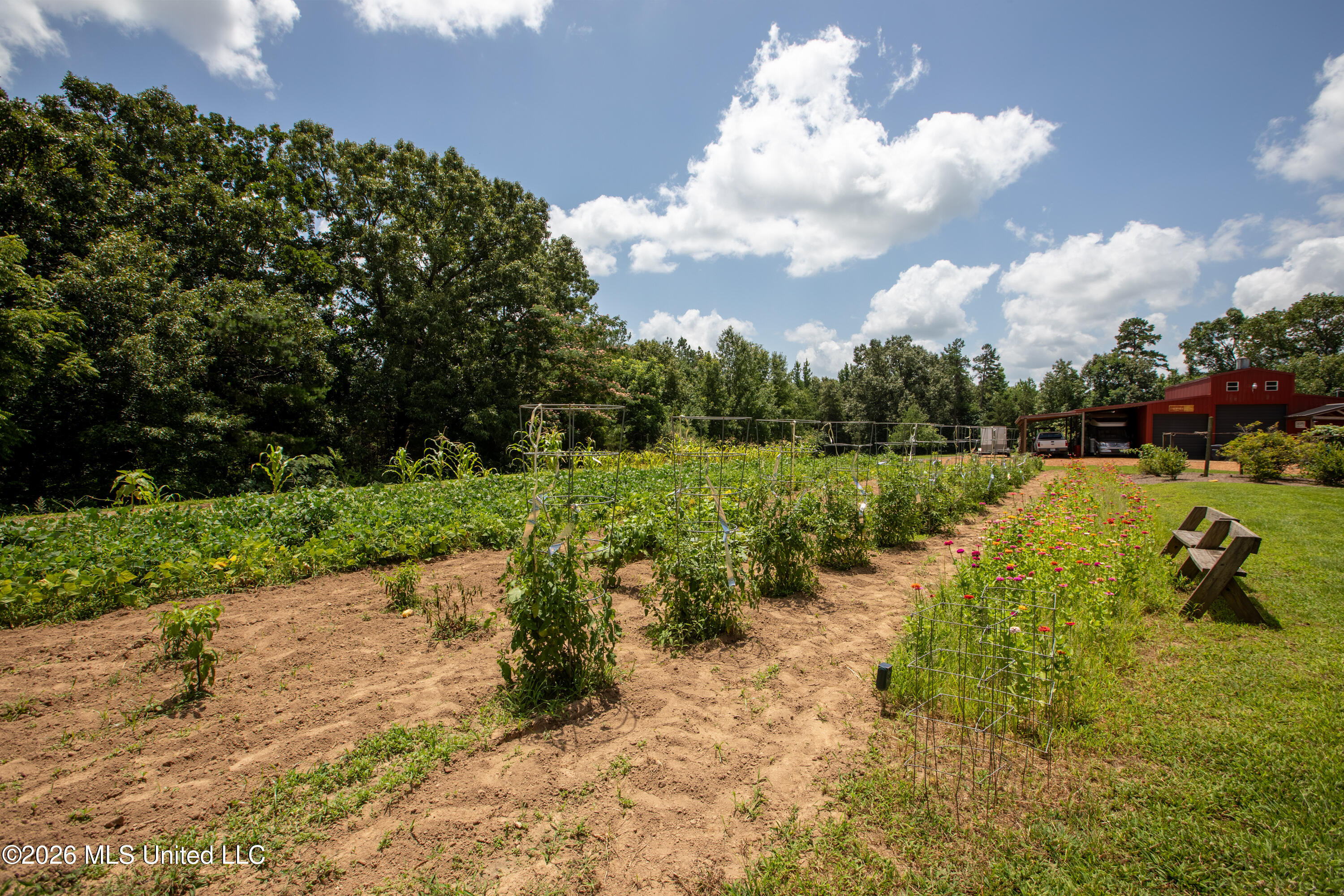 828 Little Egypt Road Ashland, MS 38603 - Photo 47 of 101 0H1A2898-HDR