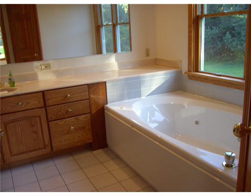 430 B School Road Clinton, PA 15026 - Photo 9 of 17 Master Bath/Spa.