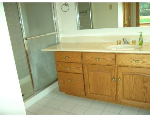 430 B School Road Clinton, PA 15026 - Photo 10 of 17 Master Bath/Spa.