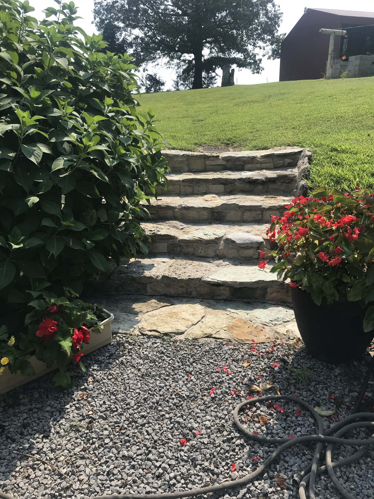 241 Providence Road Bethpage, TN 37022 - Photo 3 of 21 Gallery Image 3