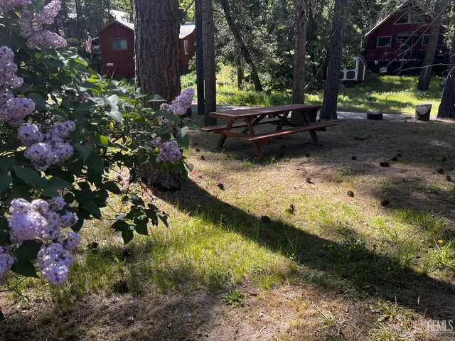 a view of a backyard of the house