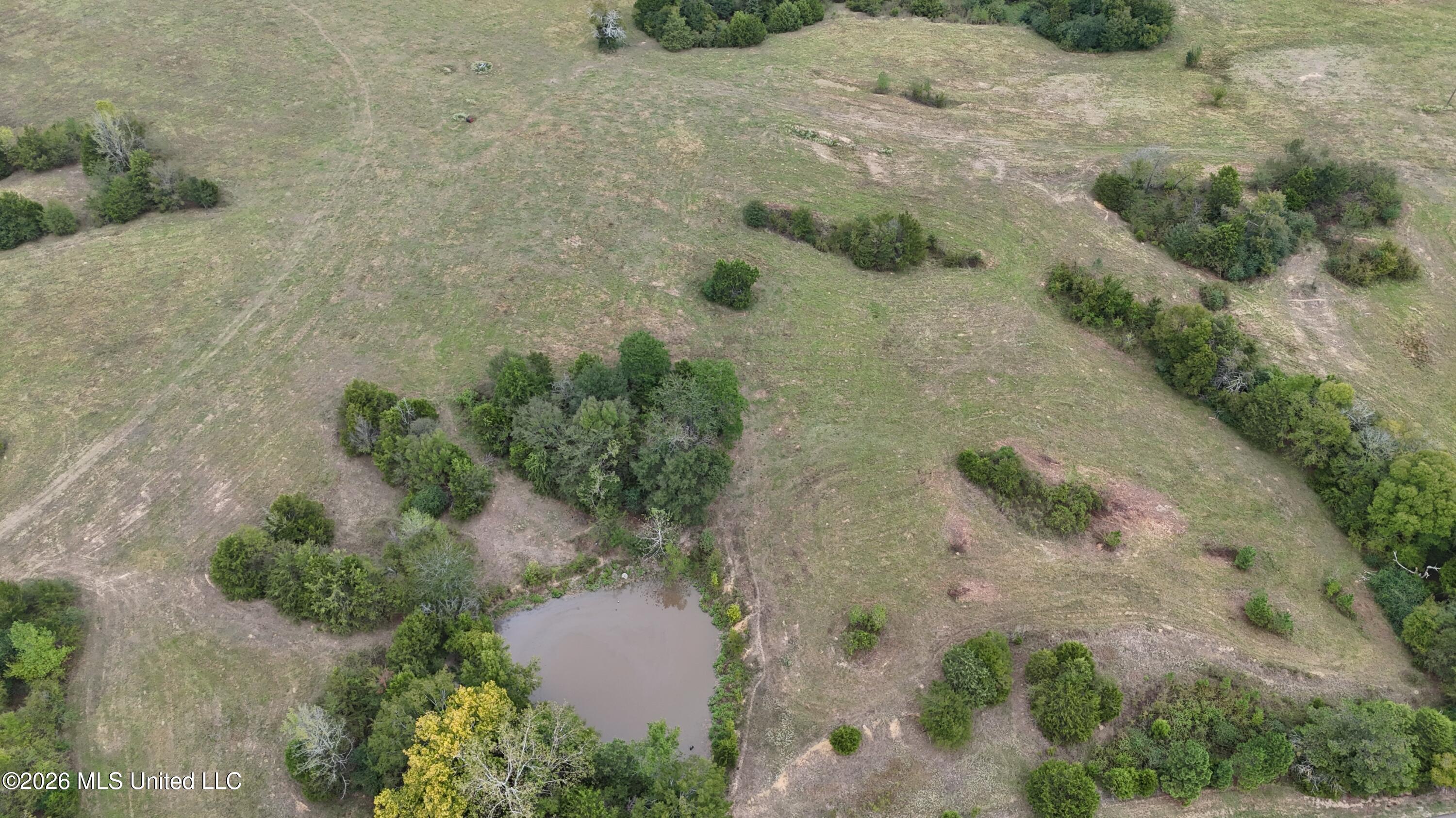 11.09 Bub Jamison Road Coldwater, MS 38618 - Photo 8 of 12 DJI_20260924120528_0101_D