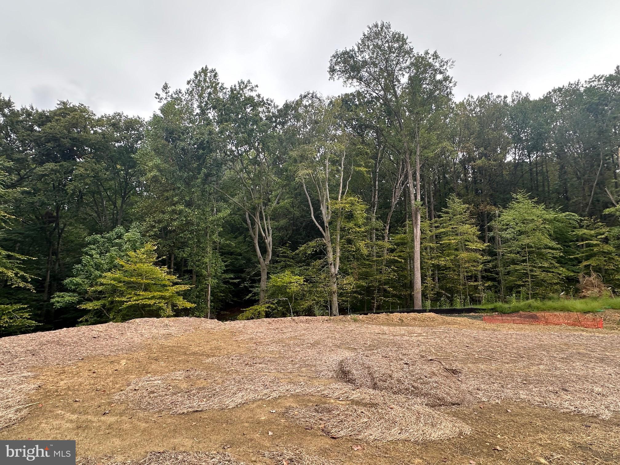 547 Webb Road Chadds Ford, PA 19317 - Photo 59 of 63 a view of outdoor space and yard