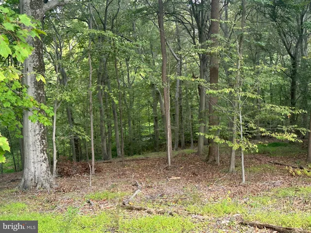 $2,150,795 | 547 Webb Road, Chadds Ford, PA 19317