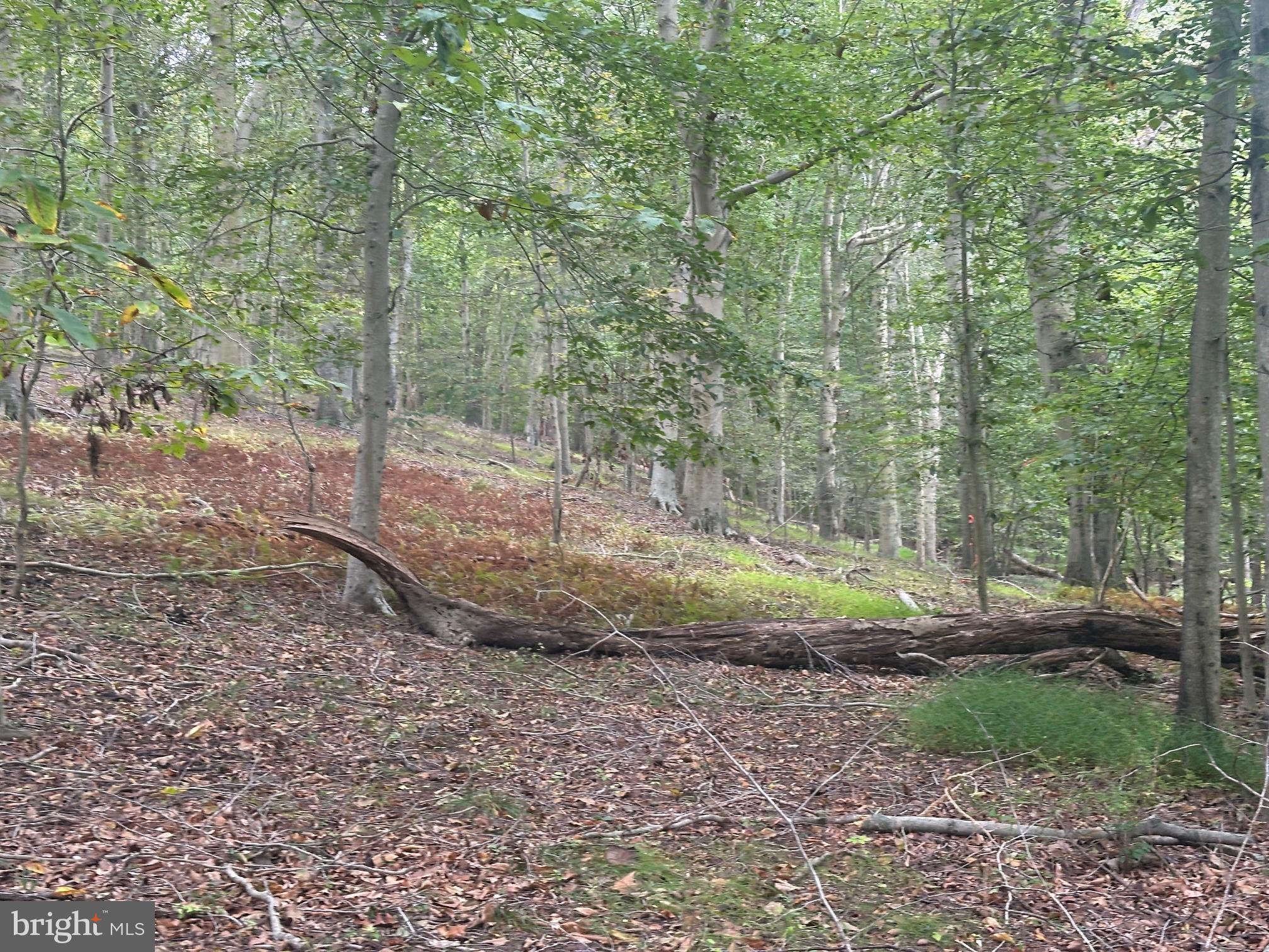 547 Webb Road Chadds Ford, PA 19317 - Photo 62 of 62