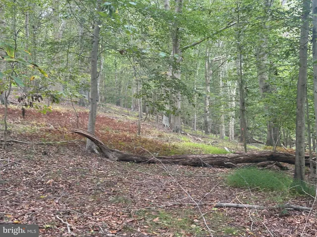 $2,150,795 | 547 Webb Road, Chadds Ford, PA 19317