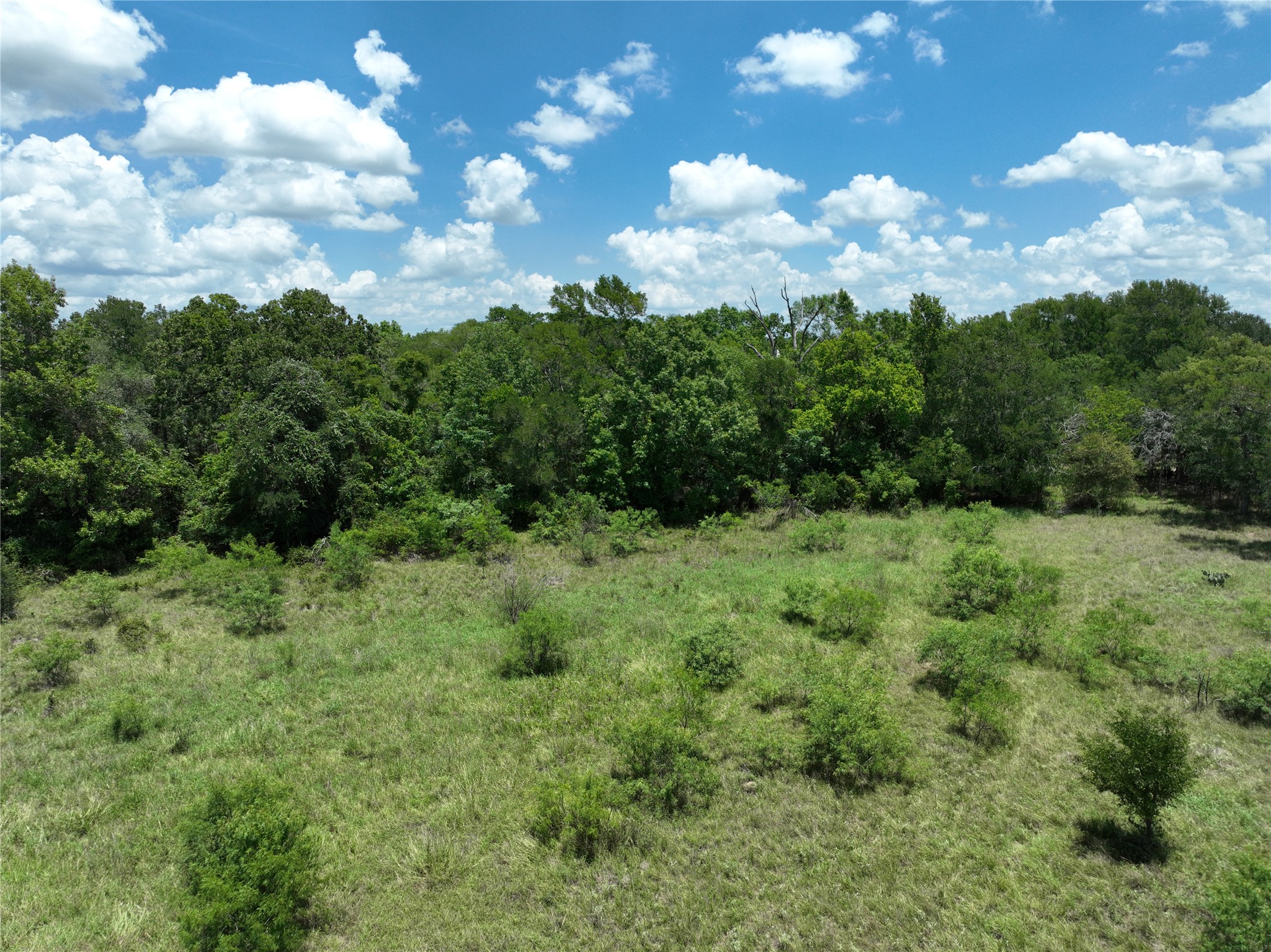 Tbd Lot 4 Tbd Road Dale, TX 78616 - Photo 13 of 24 View of wooded area