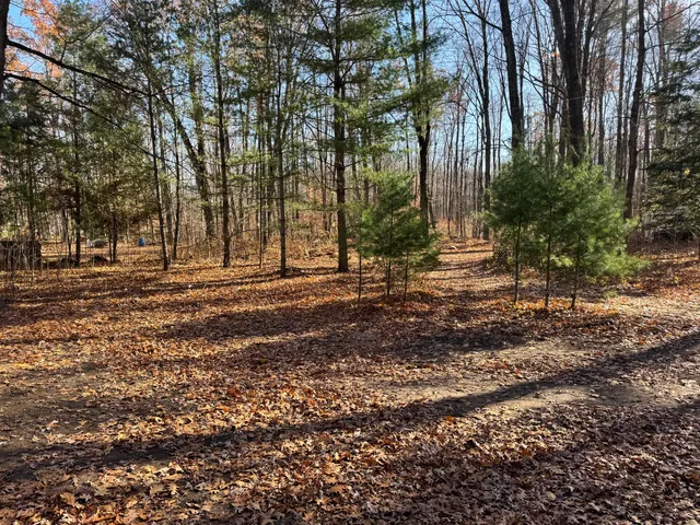 $235,000 | 7788 East 36th Street, Newaygo, MI 49337