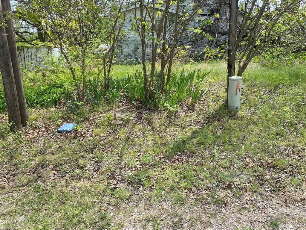 8929 West Fm 898 Ector, TX 75439 - Photo 5 of 12 a view of outdoor space and trees