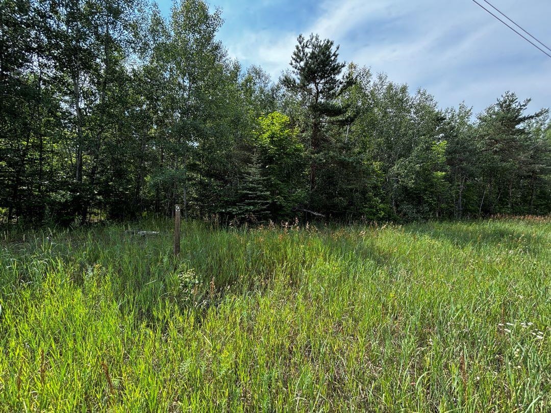 G Bailey Road, Unit LOT: G Mancelona, MI 49659 - Photo 6 of 8 Gallery Image 6