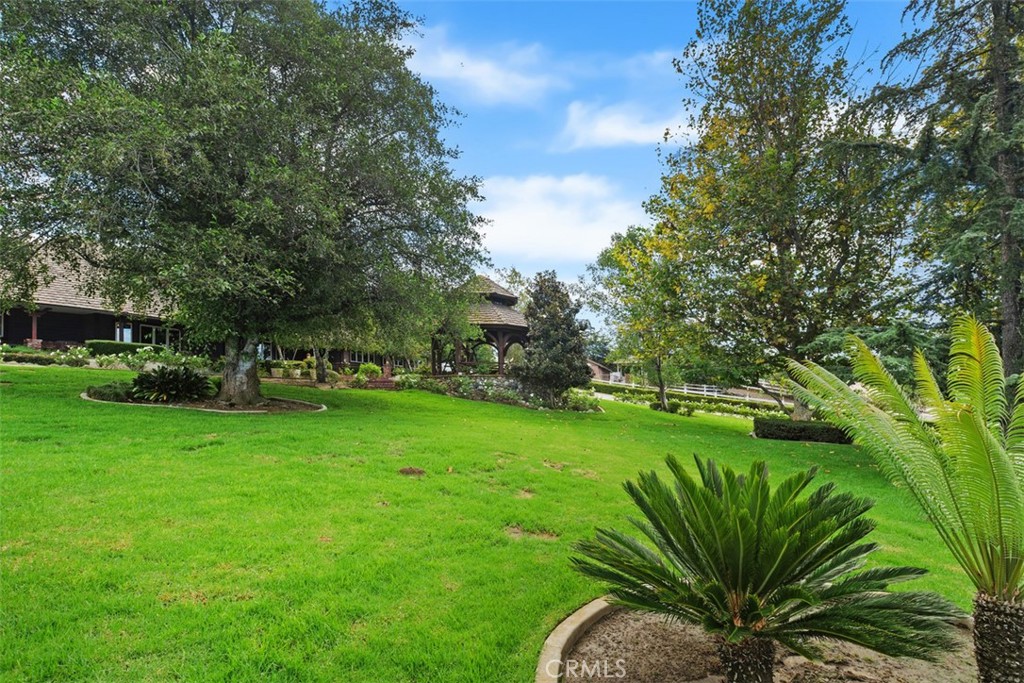 27777 Sycamore Mesa Road Temecula, CA 92590 - Photo 63 of 72 Front grass area