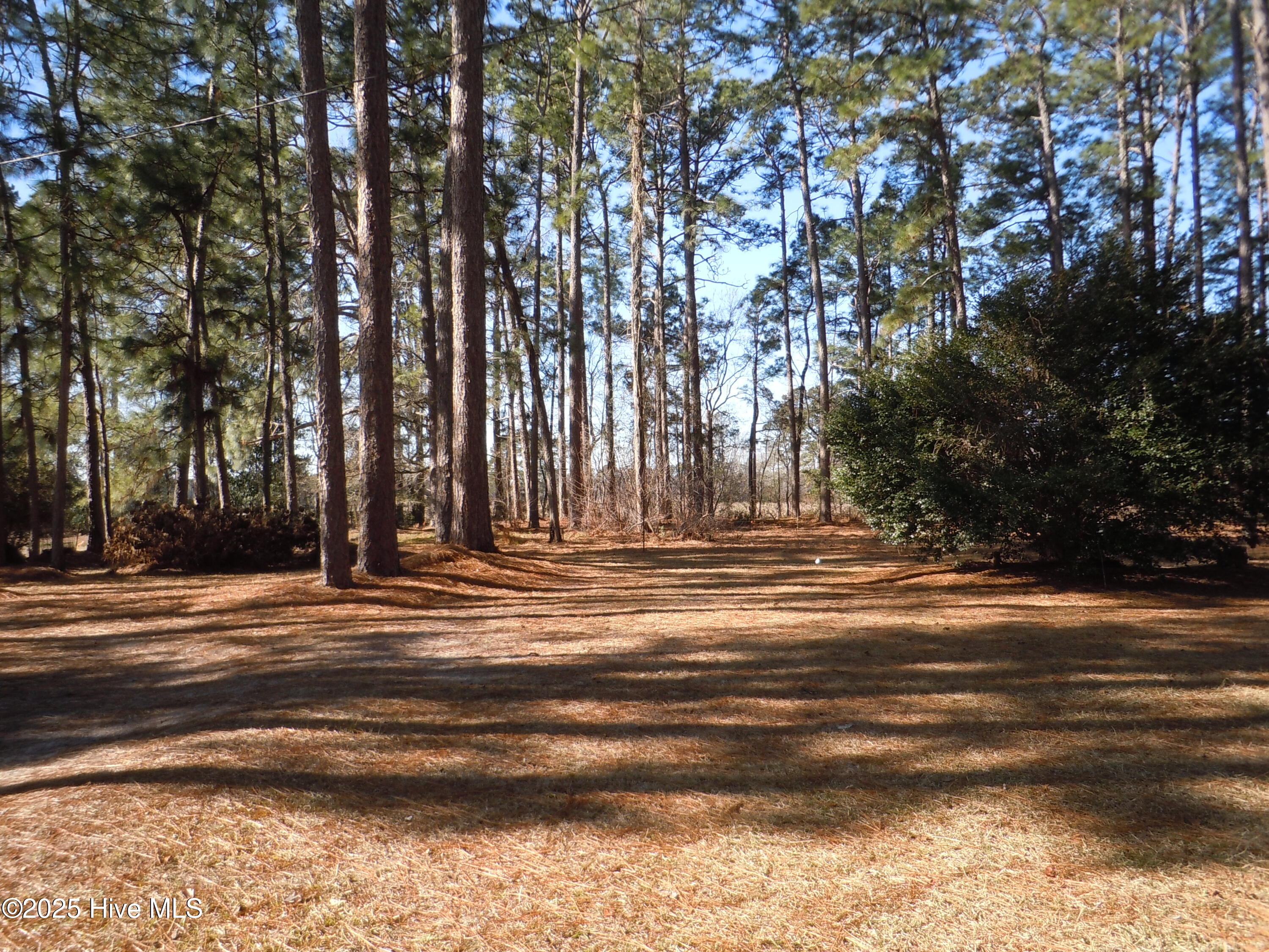 1070 Bee Tree Road Chadbourn, NC 28431 - Photo 69 of 85 DSCN9481