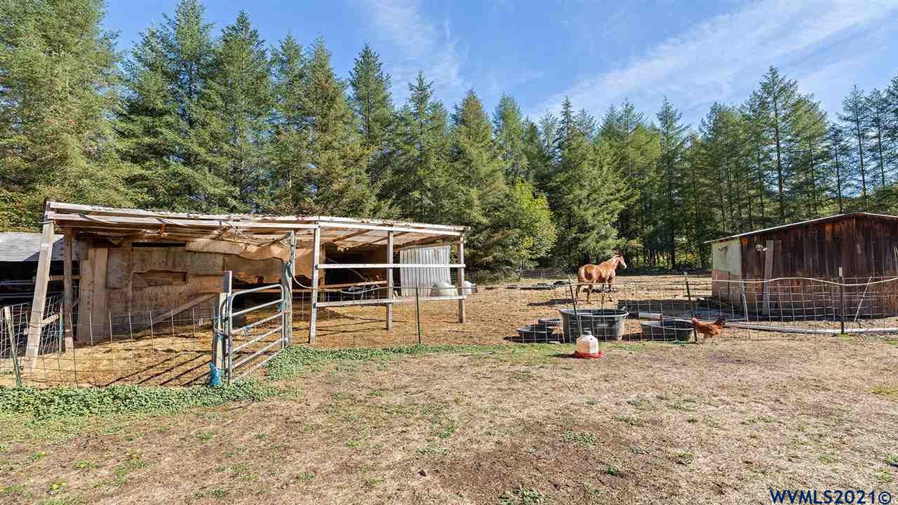 37995 Lulay Road Scio, OR 97374 - Photo 27 of 40 Gallery Image 27