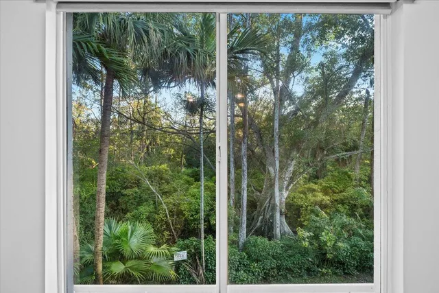 a view of a garden from a window