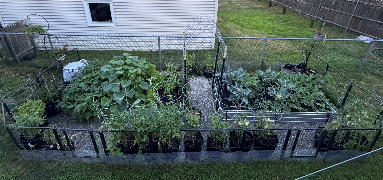 38 Bridgton Road Cranston, RI 02910 - Photo 36 of 46 Garden in bloom