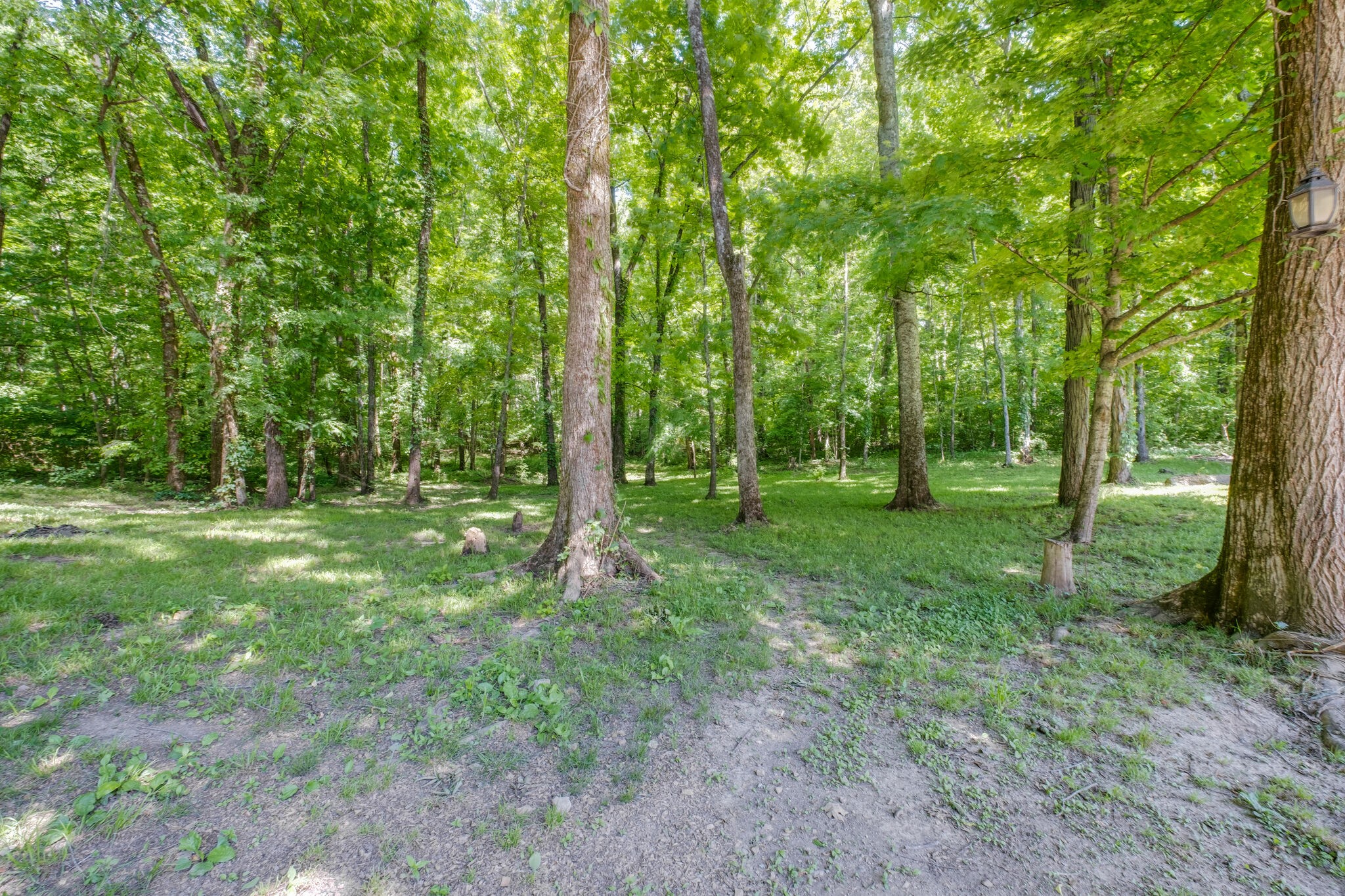 2540 Thompson Road Murfreesboro, TN 37128 - Photo 27 of 48 a view of outdoor space with deck and yard