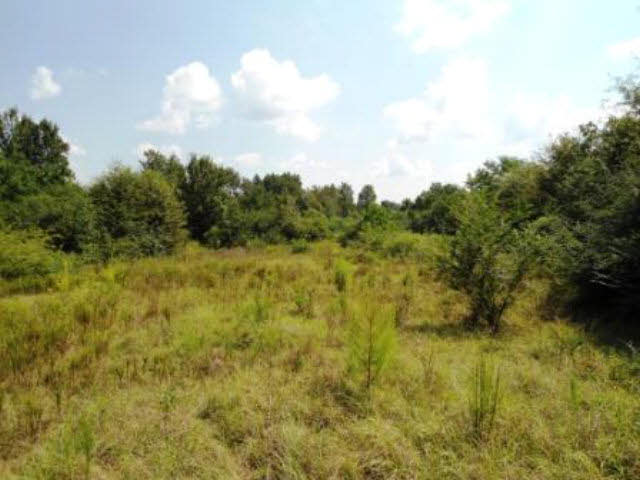 0 Dugout Lane Atmore, AL 36502 - Photo 1 of 1
