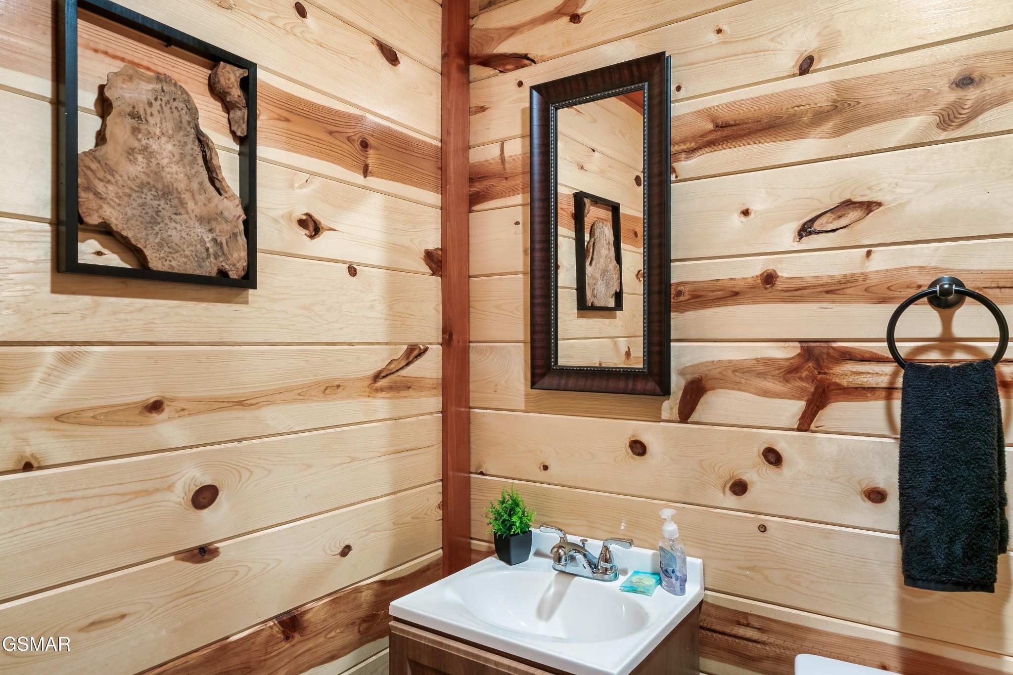 824 Rush Branch Road Pigeon Forge, TN 37863 - Photo 11 of 51 Gallery Image 11