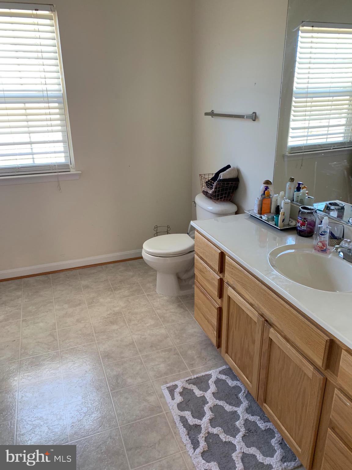 778 Holly Leaf Road Culpeper, VA 22701 - Photo 13 of 15 master bathroom
