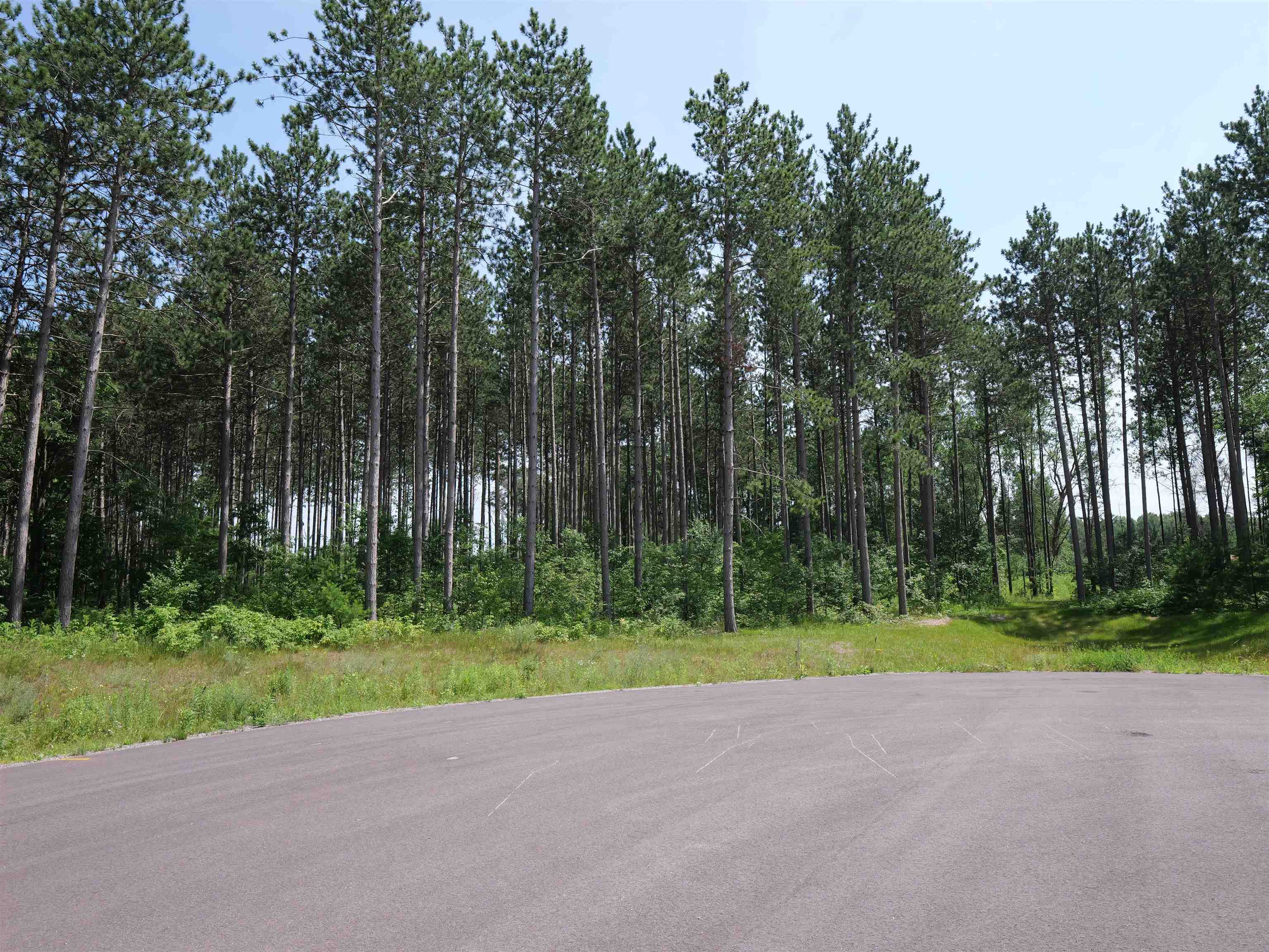 Lot 6 Two Sisters Court Stevens Point, WI 54482 - Photo 8 of 9