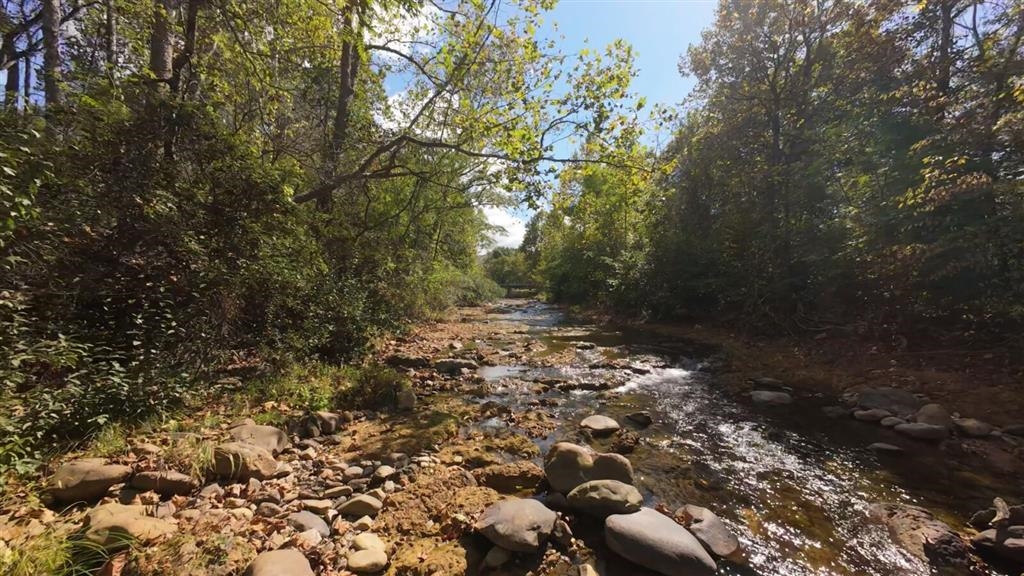 1 Mt Torrey Road Lyndhurst, VA 22952 - Photo 2 of 15