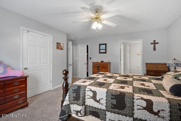 5110 Morganton Road Greenback, TN 37742 - Photo 18 of 34