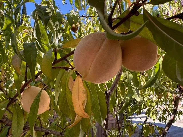 $149,000 | 913 South Grand Avenue, Unit 172, San Jacinto, CA 92582