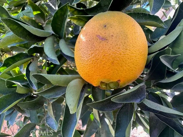 $149,000 | 913 South Grand Avenue, Unit 172, San Jacinto, CA 92582