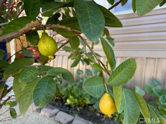 $149,000 | 913 South Grand Avenue, Unit 172, San Jacinto, CA 92582