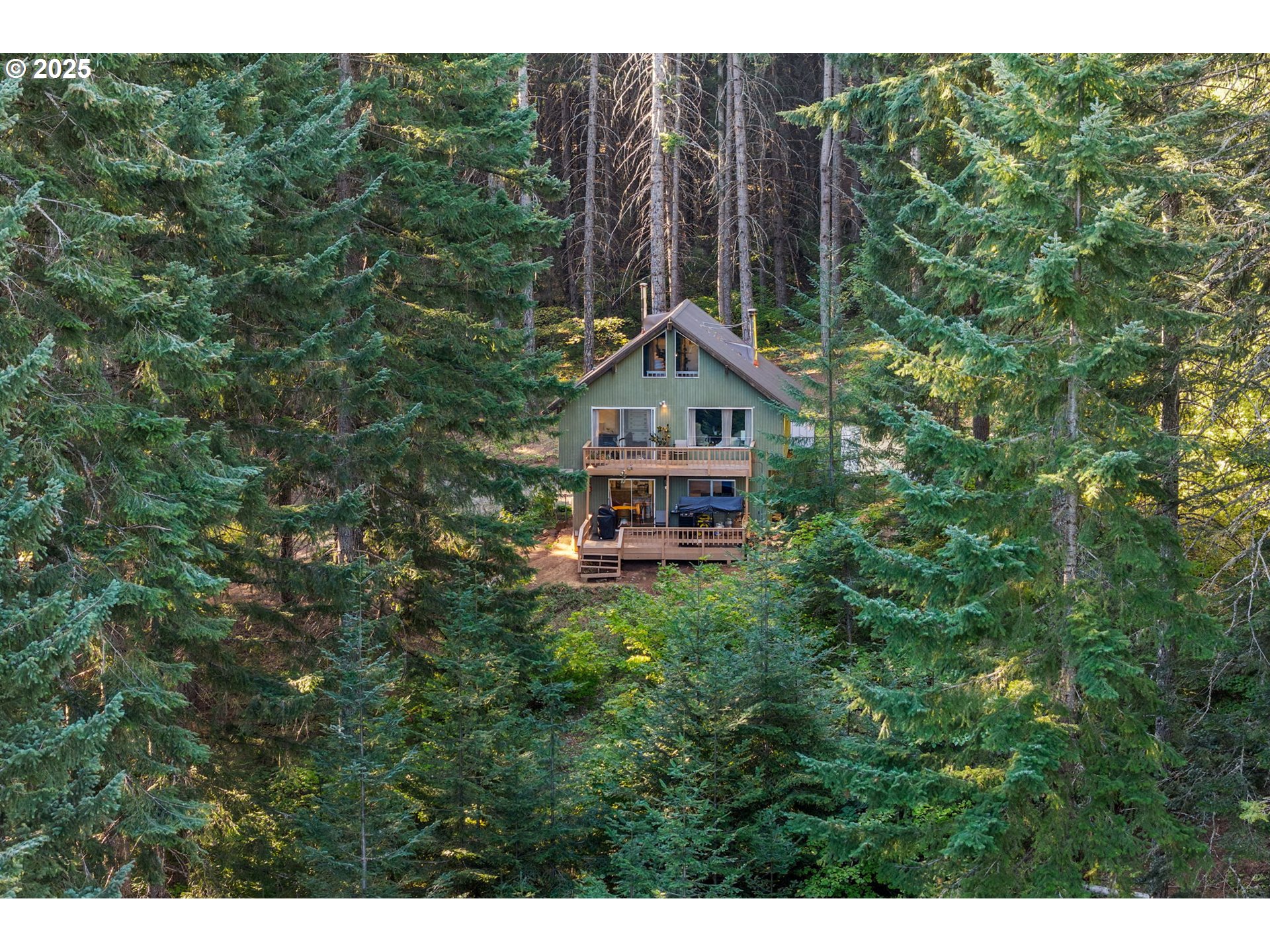 a view of a house with a small yard and large trees