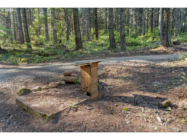 a view of a park with large trees