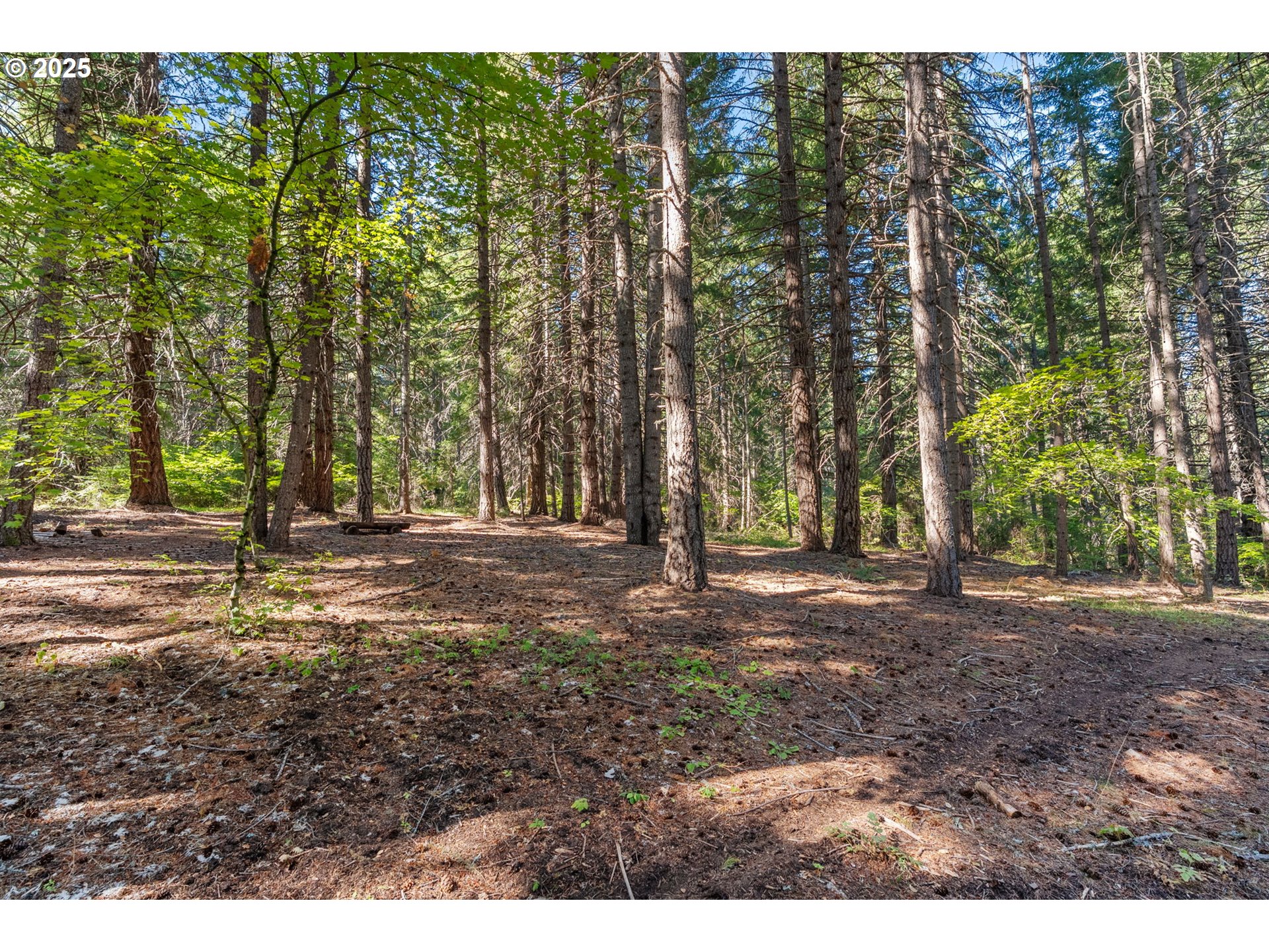 25 Chuckwagon Road Appleton, WA 98602 - Photo 42 of 43