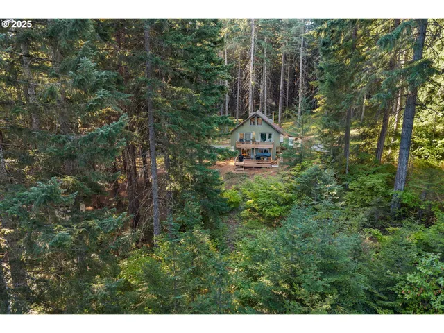 a view of backyard with green space