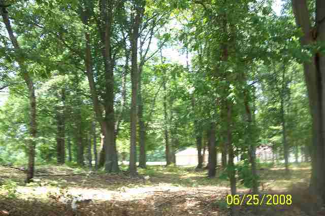 Lots 7-8 Finch Road Wellford, SC 29385 - Photo 2 of 3