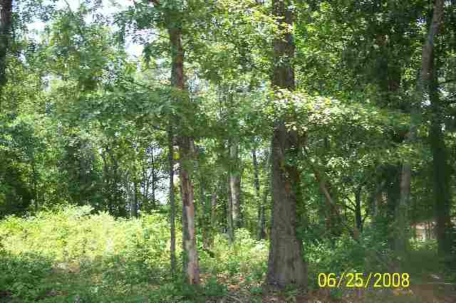 Lots 7-8 Finch Road Wellford, SC 29385 - Photo 3 of 3