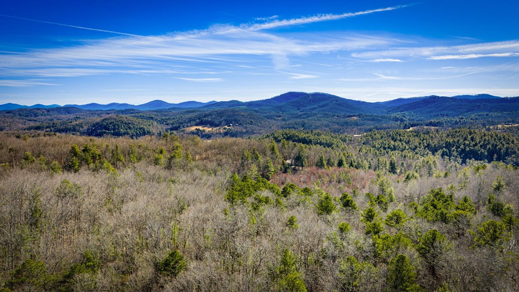 32.3 Maple Grove Road Morganton, GA 30560 - Photo 22 of 46 Gallery Image 22