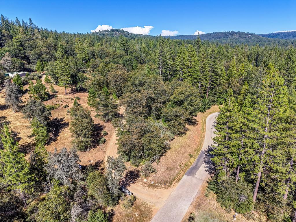 17008 Bloomfield Ridge Place Nevada City, CA 95959 - Photo 45 of 52