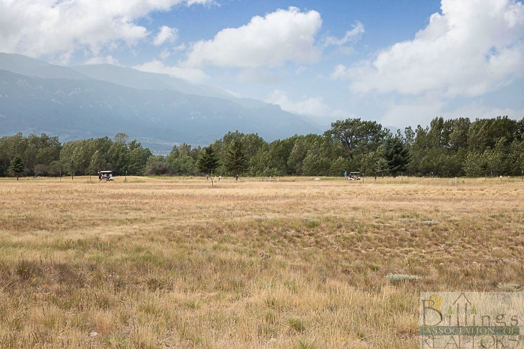 2330 Linderman Way Red Lodge, MT 59068 - Photo 1 of 1 Gallery Image 1