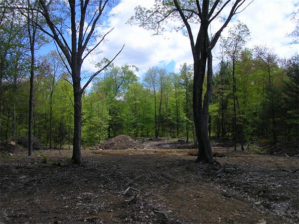 Lot 1 Paradise Lake Road Monson, MA 01057 - Photo 1 of 1 Gallery Image 1