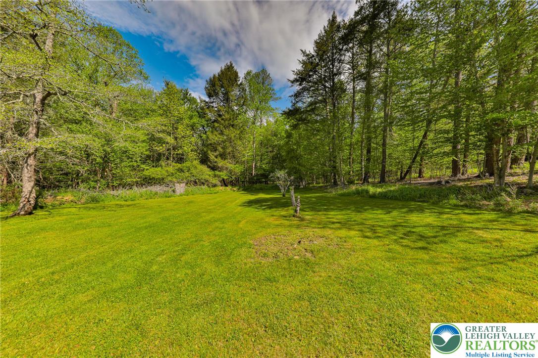 331 Cranberry Creek Road Cresco, PA 18326 - Photo 64 of 95 Green grounds extend toward a dense woodland backdrop beneath a vivid sky.
