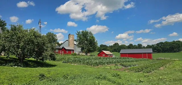 $374,900 | 20376 County 19, Lanesboro, MN 55949