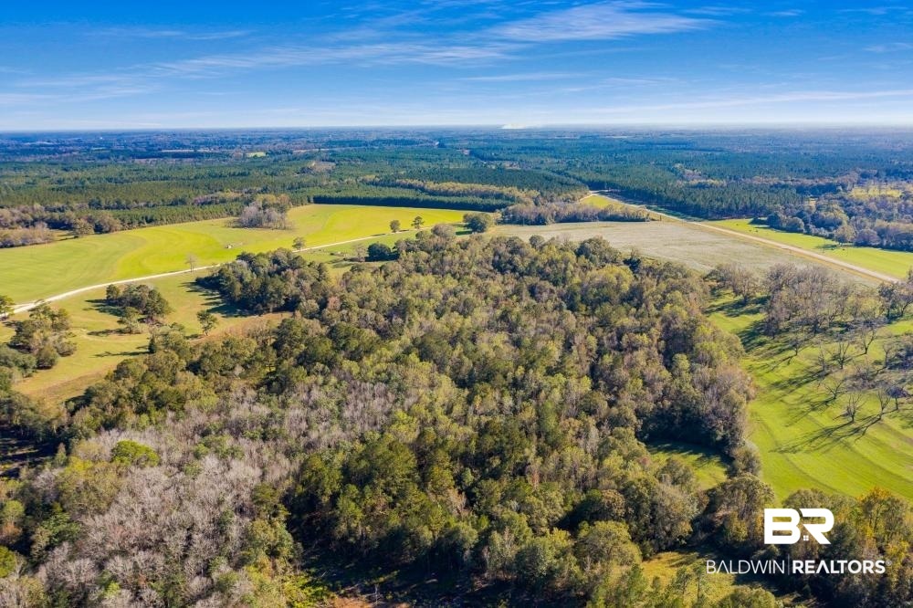 5469 County Road 55 Florala, AL 36442 - Photo 48 of 49
