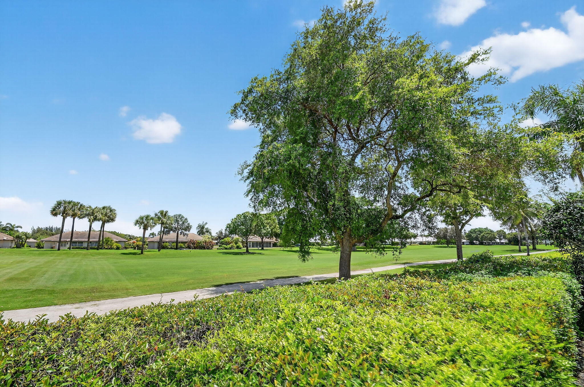 324 Orange Tree Drive, Unit 5 Atlantis, FL 33462 - Photo 23 of 29 a view of a park with large trees