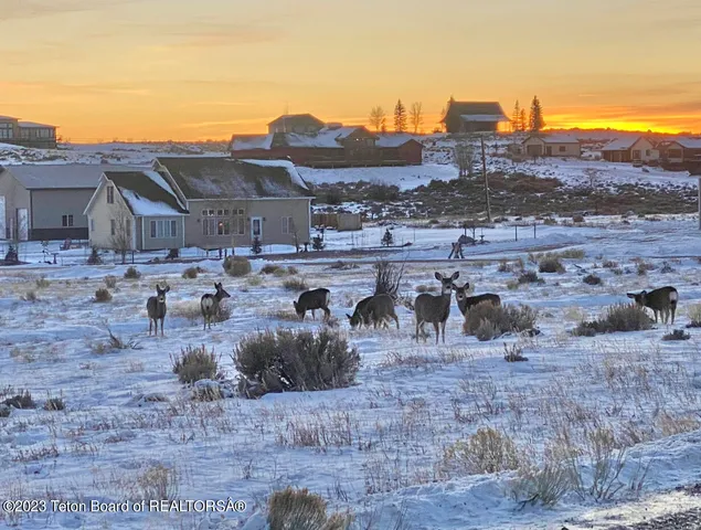 $130,000 | Lot#22 Carmichael Loop, Pinedale, WY 82941