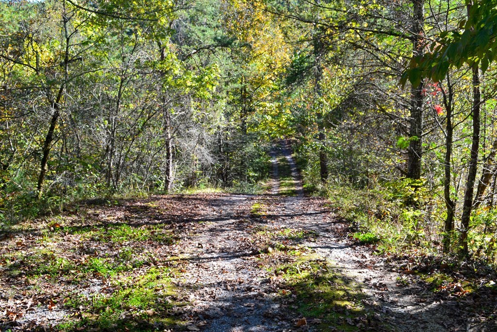 1902 Wears Valley Road Sevierville, TN 37862 - Photo 8 of 48 Gallery Image 8