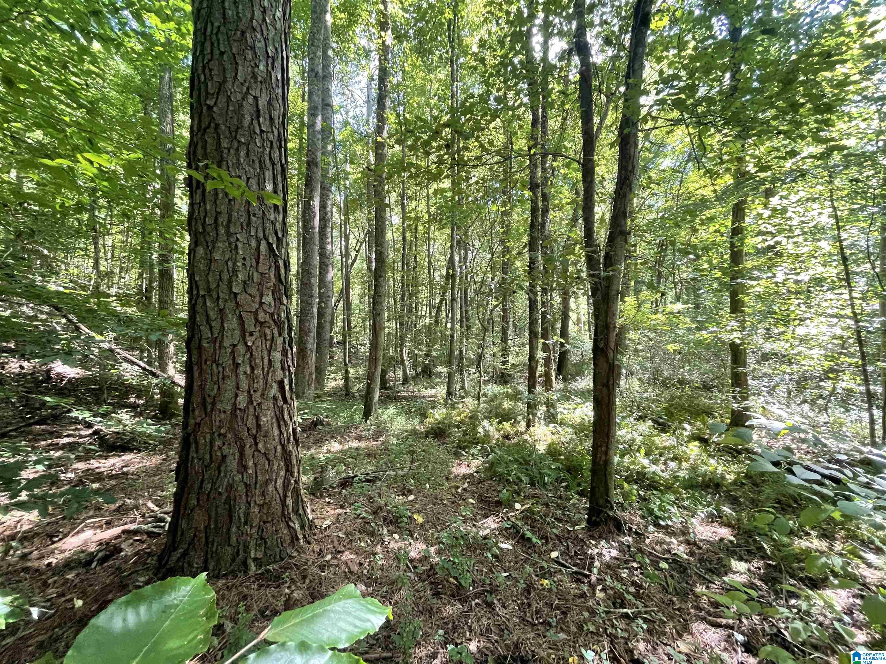 0 County Road 689, Unit 1 Ranburne, AL 36273 - Photo 69 of 69