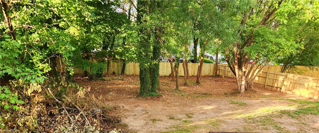 5219 Old Rural Hall Road Winston-Salem, NC 27105 - Photo 16 of 18 Backyard