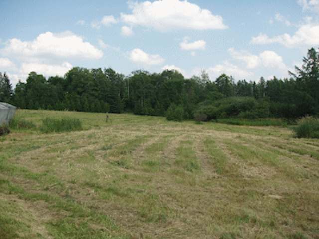 On North Road Butternut, WI 54514 - Photo 12 of 18 Gallery Image 12